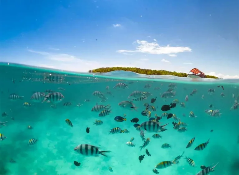 View underwater and sandbank on the snorkeling trip, Zanzibar