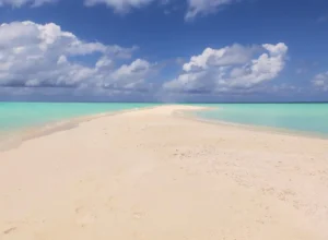 Gorgeous sandbank middle on crystal turquoise water, Zanzibar