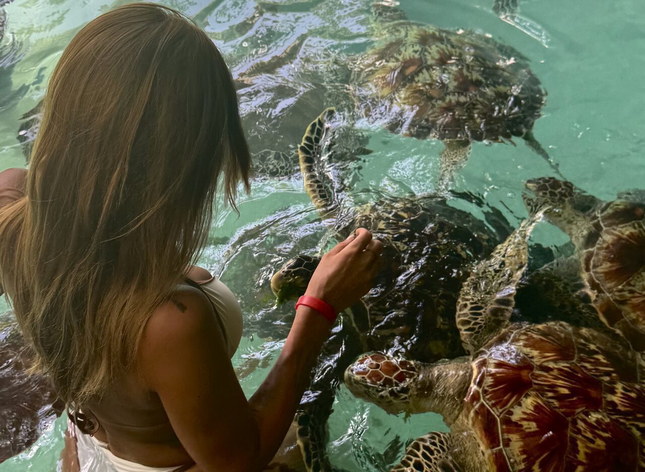 Visitors enjoying the cave pool with turtles in Zanzibar