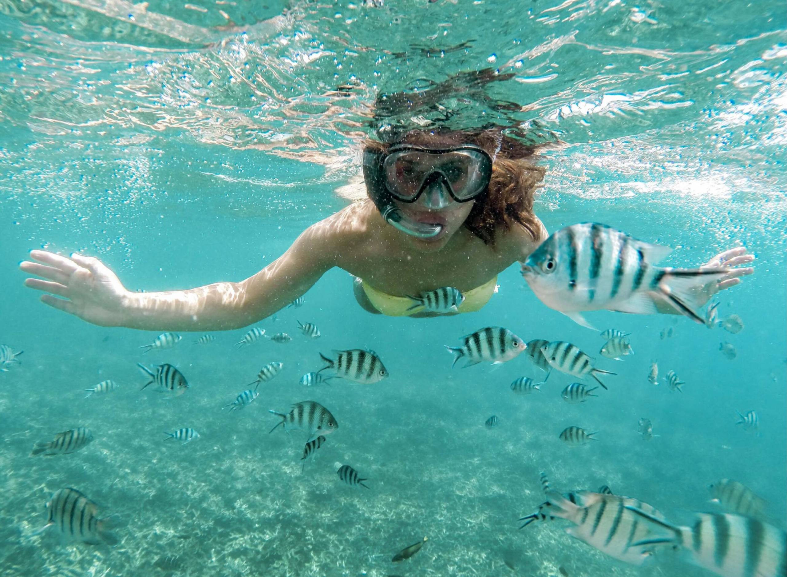 Snorkeler swimming among striped tropical fish on a Zanzibar snorkeling tour